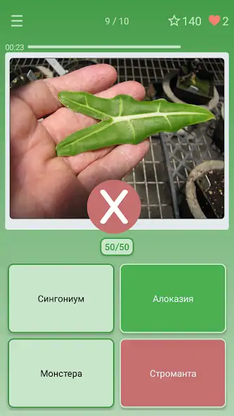 Скачать Викторина: угадай цветок [MOD Много денег] на Андроид