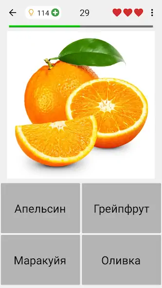 Скачать Фрукты и овощи: Фото-викторина [MOD Много монет] на Андроид