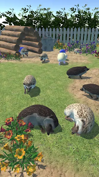 Скачать Hedgehog Friends [MOD Бесконечные деньги] на Андроид