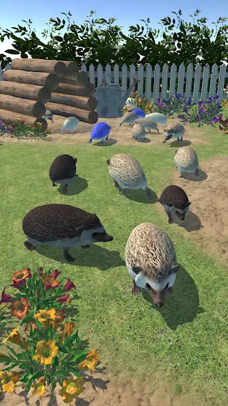Скачать Hedgehog Friends [MOD Бесконечные деньги] на Андроид
