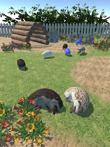 Скачать Hedgehog Friends [MOD Бесконечные деньги] на Андроид